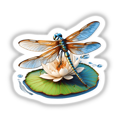 Vibrant dragonfly perched on a white and green lily pad, with delicate blue and orange wings, surrounded by water droplets.