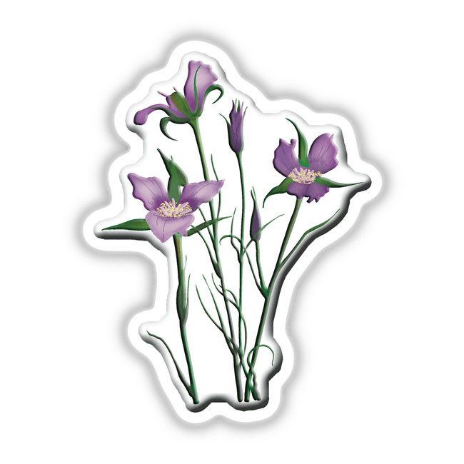 American Wild Flowers sticker featuring detailed sketches of purple flowers, showcasing intricate petals and stems. Available as stickers or digital artwork from Decal Venue.