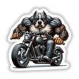 Motorcycle Biker Pitbull Dog