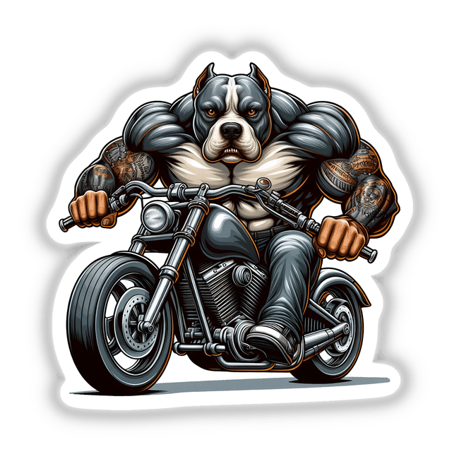 Motorcycle Biker Pitbull Dog