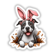 Peek a Boo Pitbull Bunny illustration featuring a dog with bunny ears and a red bandana, available as stickers or digital artwork from Decal Venue.