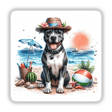Happy Pitbull Beach Dog on Beach