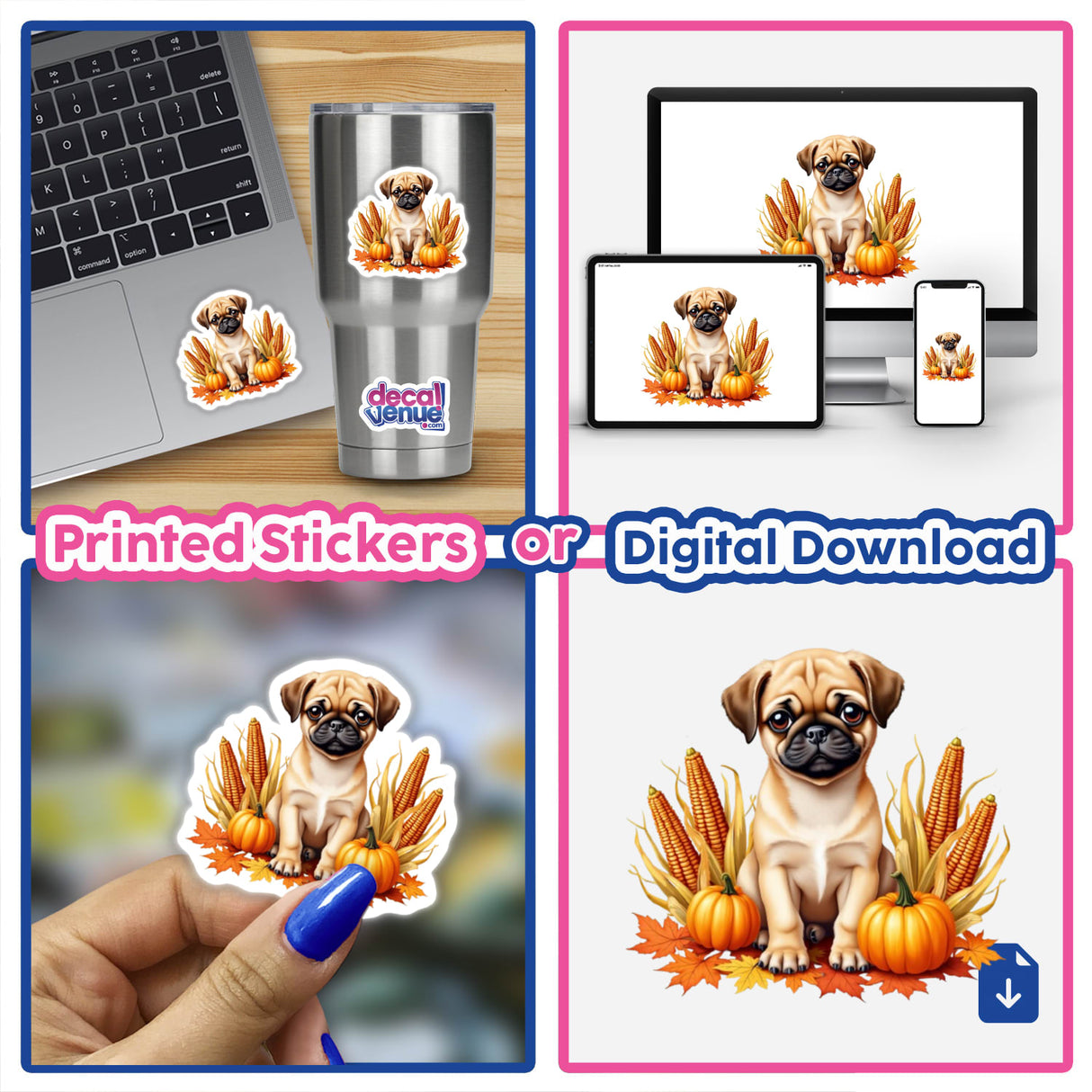 Autumn Themed Pug Clipart | Cute Fall Pug Sticker | Digital Download for Personal and Commercial Use featuring a collage of a pug in a cornfield, laptop with sticker, and hand holding a sticker.