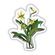 American Wild Flowers artwork featuring intricate yellow flowers with green leaves, available as unique stickers or digital artwork from Decal Venue, highlighting detailed botanical designs.