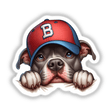 Peeking Pitbull Dog w/ B Baseball Cap