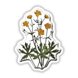 American Wild Flowers sticker featuring intricate yellow flower designs, highlighting close-up petals and stems, available as unique stickers or digital artwork from Decal Venue.