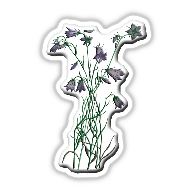 American Wild Flowers sticker depicting purple flowers with green stems, available as a unique piece from Decal Venue's collection of stickers and digital artwork.