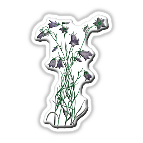 American Wild Flowers sticker depicting purple flowers with green stems, available as a unique piece from Decal Venue's collection of stickers and digital artwork.