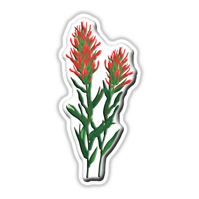 American Wild Flowers sticker featuring a detailed close-up of a vibrant flower, emphasizing unique botanical elements. Available from Decal Venue as part of their distinctive sticker and digital art collection.