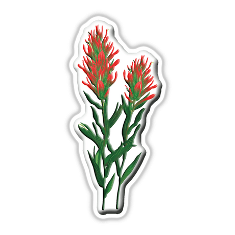 American Wild Flowers sticker featuring a detailed close-up of a vibrant flower, emphasizing unique botanical elements. Available from Decal Venue as part of their distinctive sticker and digital art collection.