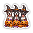 Halloween Trick or Treat Trio Pitbull Dogs II features cartoon-style pitbulls in hats surrounded by pumpkins, available as stickers or digital artwork, perfect for Halloween-themed decor.