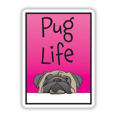 The Pug Life