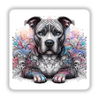 Colorful Paisley Pitbull Dog