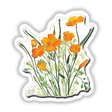 American Wild Flowers sticker featuring detailed illustrations of orange flowers in various close-up views, showcasing the intricate design typical of Decal Venue's unique sticker and digital art collection.