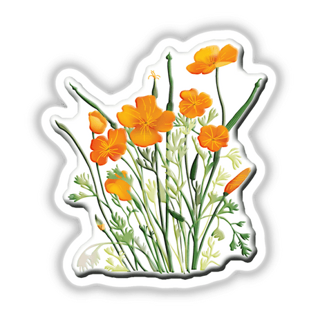 American Wild Flowers sticker featuring detailed illustrations of orange flowers in various close-up views, showcasing the intricate design typical of Decal Venue's unique sticker and digital art collection.