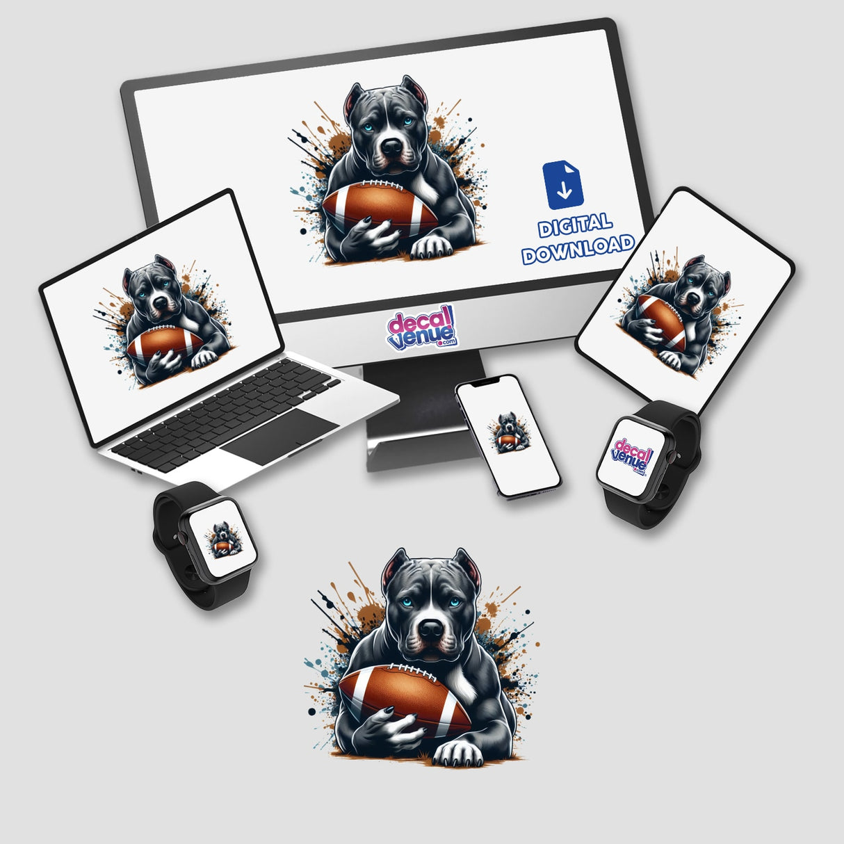 Pitbull Football Splash: A digital artwork featuring a pitbull holding a football, displayed on a computer monitor and laptop. Available as stickers or digital artwork.