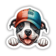 Peeking Pitbull Dog with American Trucker Hat