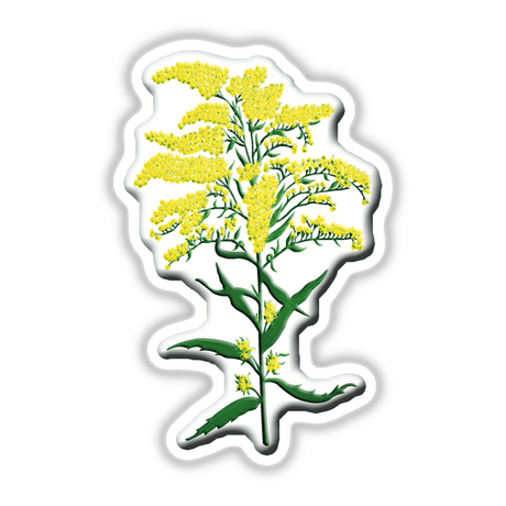 American Wild Flowers sticker featuring a detailed yellow flower with green leaves, expertly designed as part of Decal Venue's unique collection of stickers and digital artwork.