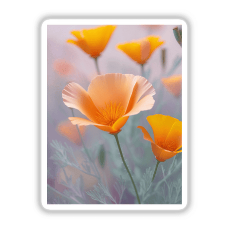 Soft Peach and Orange California Poppies in Bloom, featuring a close-up of vibrant flowers, ideal as stickers or digital artwork from Decal Venue, capturing the essence of nature-inspired vinyl art.