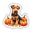 Airedale Terrier Clipart | Fall Aesthetic Dog Clipart featuring an Airedale Terrier sitting next to pumpkins, available as Stickers or Digital Artwork with Commercial Rights.