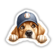 Peeking Golden Retriever w/Baseball Cap