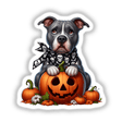 Skull Bandana Trick or Treat Pitbull Dog featuring a cartoon pitbull wearing a scarf, holding a pumpkin with a skull motif. Available as stickers or digital artwork from Decal Venue.