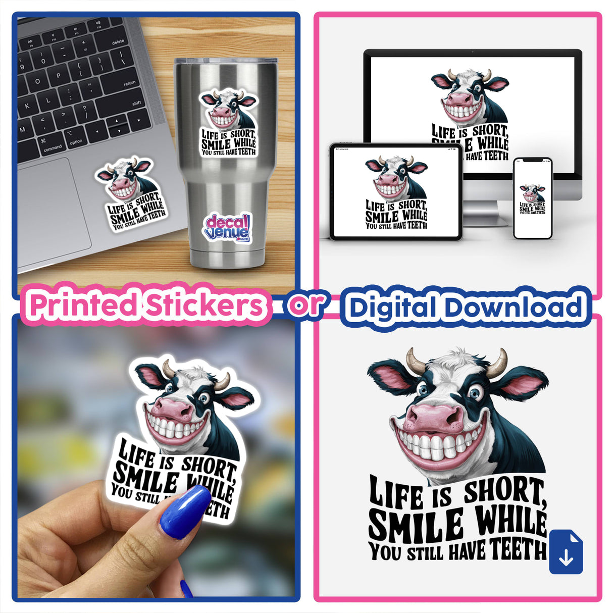 Vibrant cow graphic with humorous text: "Life is Short. Smile While You Still Have Teeth". Product displayed on various surfaces including laptop, drinking tumbler, and digital devices. Visually appealing digital artwork or printed stickers available from Decal Venue store, showcasing a whimsical cow character.