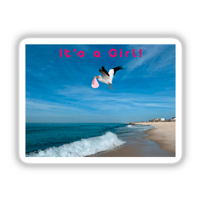 Bird carrying a pink letter over a beach, part of the It's a Girl Birth Announcement and Gender Reveal sticker and digital artwork collection from Decal Venue.