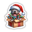 Santa Pitbull Dog in a Christmas Box II: A pitbull wearing a Santa hat sits in a festive box adorned with Christmas lights, available as stickers or digital artwork from Decal Venue.