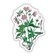 American Wild Flowers sticker featuring an artistic illustration of a plant with various detailed flower close-ups, reflecting Decal Venue's unique stickers and digital art offerings.