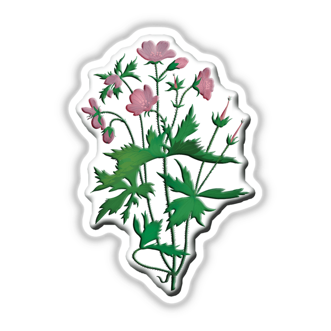 American Wild Flowers sticker featuring an artistic illustration of a plant with various detailed flower close-ups, reflecting Decal Venue's unique stickers and digital art offerings.