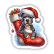 Pitbull Santa Dog in Christmas Stocking II: A playful pitbull wearing a Santa hat snug in a Christmas stocking, available as unique stickers or digital artwork from Decal Venue.