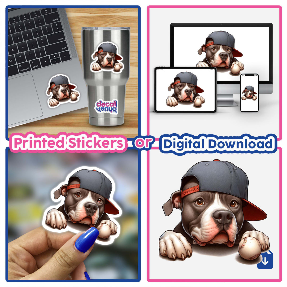 Baseball Peeking Pitbull Dog - Digital artwork of a playful pitbull wearing a baseball cap, visible on various devices and product mockups.