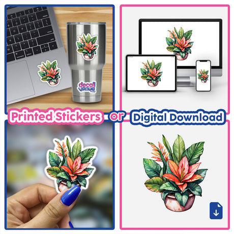 Lush Sansevieria Flower Sticker | Subtropical and Tropical Plant Watercolor. Collage includes close-ups of laptops with stickers, potted plants, and digital artwork showcasing vibrant plant designs.