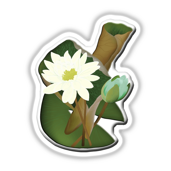 American Wild Flowers sticker or digital artwork featuring a detailed close-up of a white flower surrounded by green leaves, embodying the unique artistic style of Decal Venue.