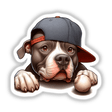 Pitbull dog wearing baseball cap peeking out from behind baseball