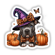 Resting Halloween Pitbull Witch w/Pumpkins: A dog in a hat and bowtie sits among pumpkins and flowers, available as stickers or digital artwork.