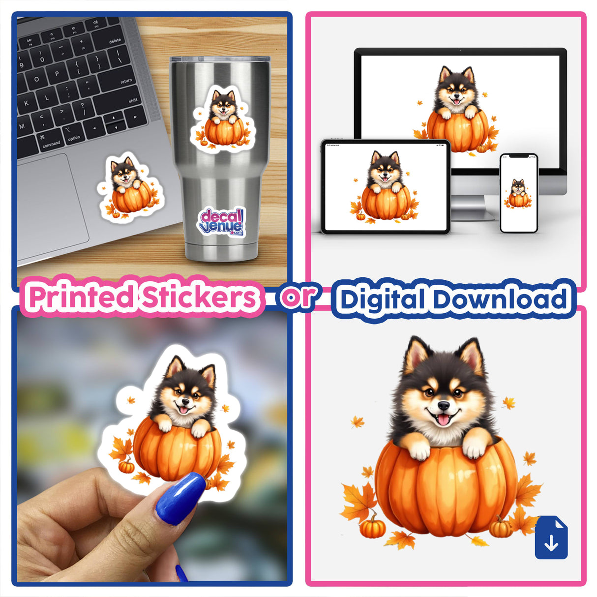 Adorable Pomsky Puppy in Pumpkin Clipart | Cute Fall Sticker | Digital Download with Commercial Use featuring a collage of a laptop adorned with a dog sticker and a dog with a pumpkin.