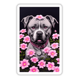 Showered in Flowers Pitbull