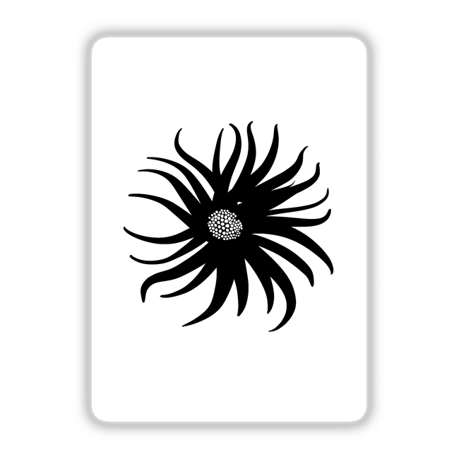 Abstract flower sketch: A detailed black and white drawing of a flower, available as digital artwork.