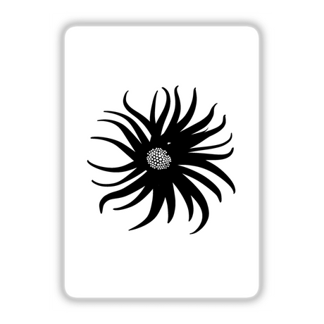 Abstract flower sketch: A detailed black and white drawing of a flower, available as digital artwork.