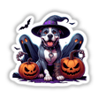 Cute Pitbull dog in Halloween costume with pumpkins and bats