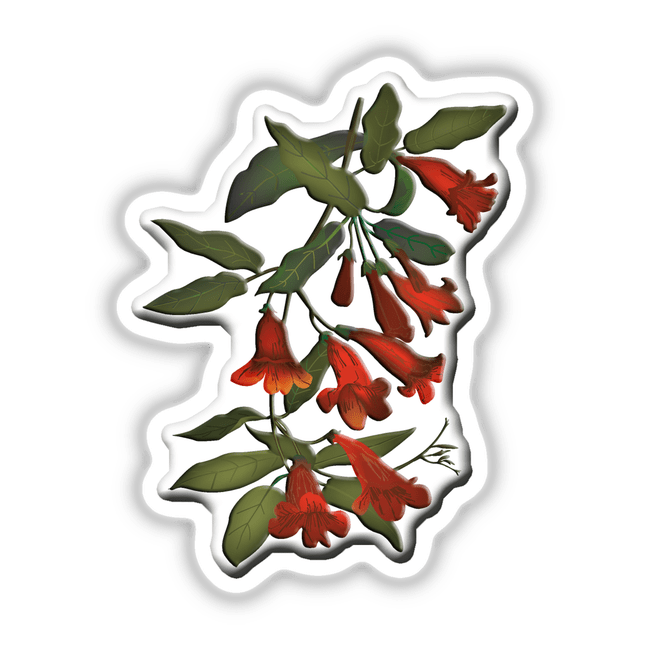 American Wild Flowers sticker featuring a detailed close-up of a red flower and green leaf, available as a sticker or digital artwork from Decal Venue.