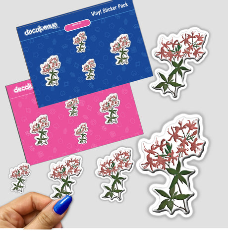 Hand holding American Wild Flowers sticker pack featuring various floral designs, showcasing unique flower stickers. Available as physical stickers or digital artwork. Ideal for decorating surfaces creatively.