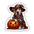 Halloween Pitbull Dog Skull Scarf and Witch Hat: A dog wearing a witch hat, skull scarf, and holding a jack-o-lantern pumpkin, available as stickers or digital artwork.