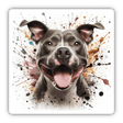 Crazy Splatter Pitbull