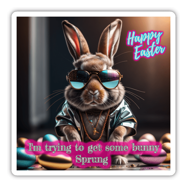 Cool bunny