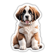 Fluffy Saint Bernard Puppy