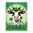 Cow St. Patrick’s Day