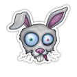 Crazy White Bunny Rabbit
